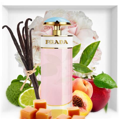 do guys like prada candy|Prada Candy sugar pop.